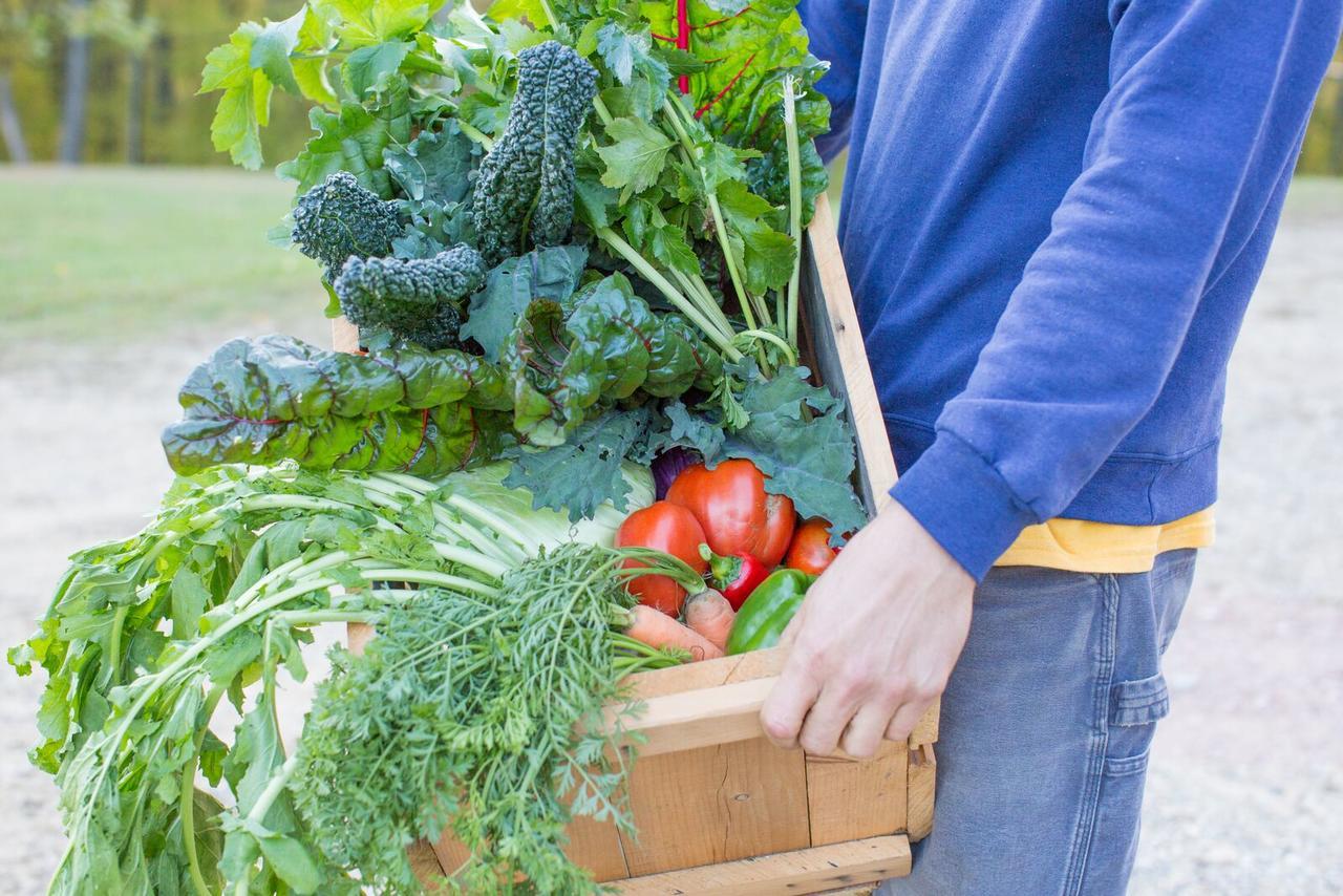فيلا Woodstock Sustainable Farms الغرفة الصورة
