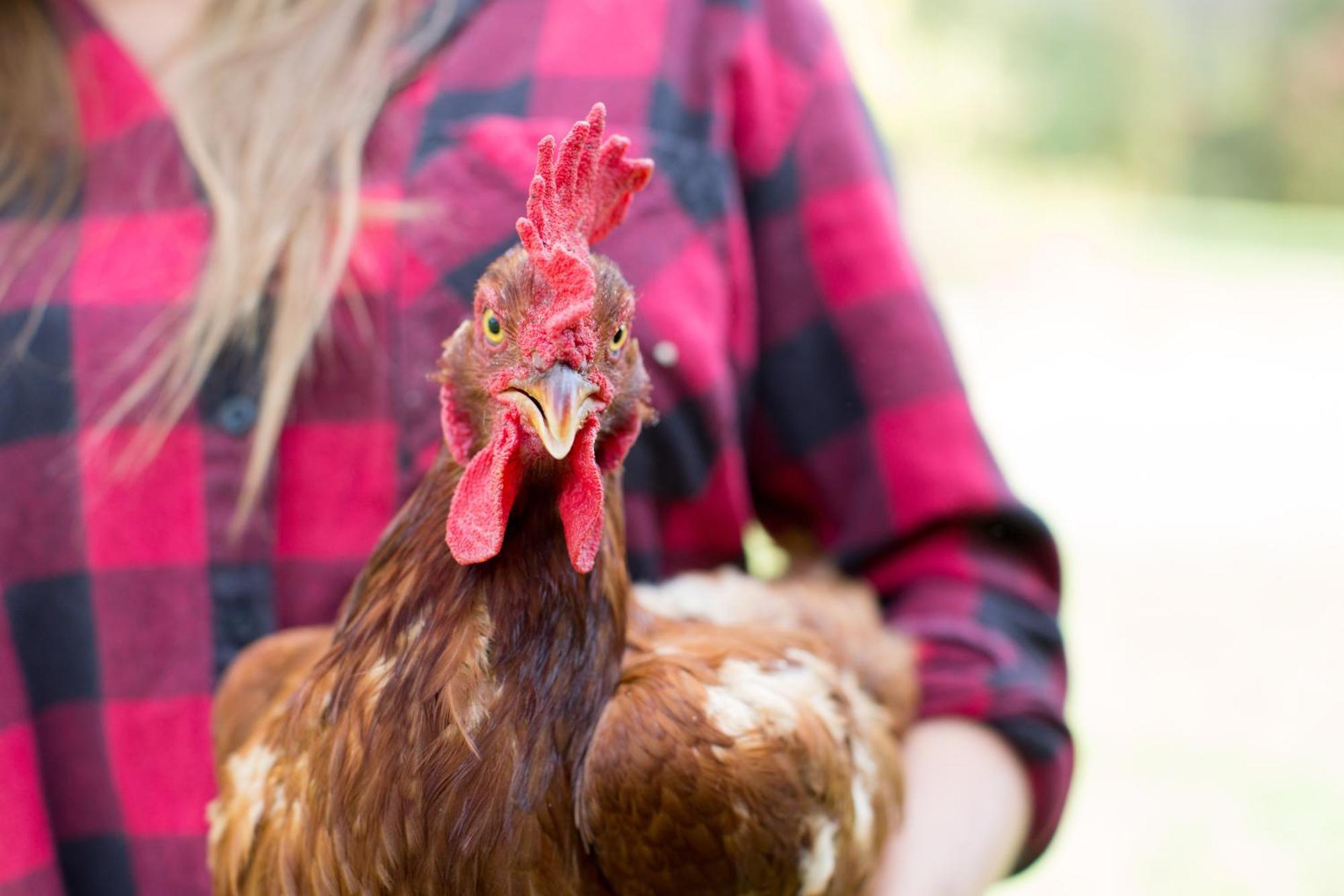 فيلا Woodstock Sustainable Farms المظهر الخارجي الصورة